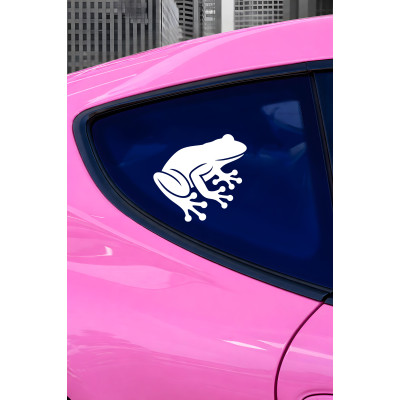 Kurbağa Sticker - Sevimli Oto Sticker - Araba Motor Sticker 15x14cm