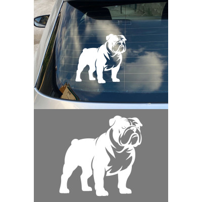 Bulldog Sticker - İngiliz Bulldog Araba Sticker - Köpek Oto Sticker 15x14cm