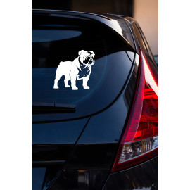 Bulldog Sticker - İngiliz Bulldog Araba Sticker - Köpek Oto Sticker 15x14cm