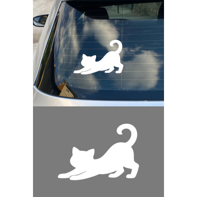 Esneyen Kedi Sticker - Kedi Araba Sticker - Minimal Kedi Oto Sticker 15x10cm