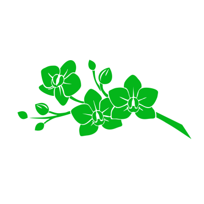 Kişiye Çiçekçilere Özel Orkide Deseni Sticker Yapıştırma