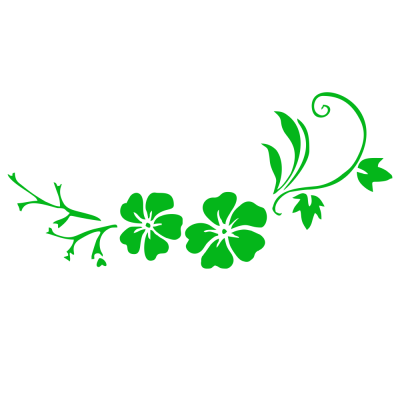 Kişiye Çiçekçilere Özel Yaprak Orkide Sticker Yapıştırma