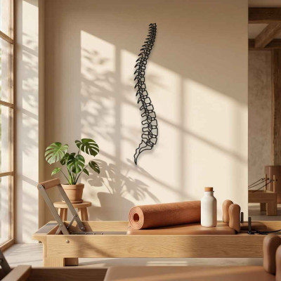 Omurga Desenli Metal Duvar Tablosu Anatomik Sanat Pilates Fizyoterapi Klinik Dekoru