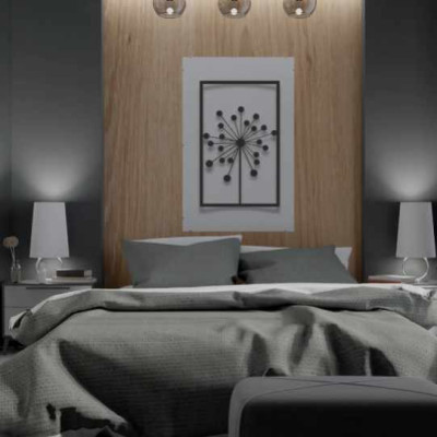 Çerçeveli Karahindiba Duvar Oda Ev Aksesuarı Metal Tablo 