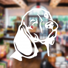  Petshop Ve Veterinerlere Özel Göz Kırpan Köpek Sticker Yapıştırma