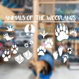  Petshop Ve Veterinerlere Özel Hayvan İzleri Sticker Yapıştırma