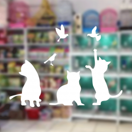 Petshop Ve Veterinerlere Özel Kuşlarla Oynayan Kediler Sticker Yapıştırma