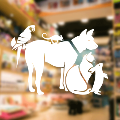 Petshop Ve Veterinerlere Özel Papağan Köpek Tavşan Sticker Yapıştırma