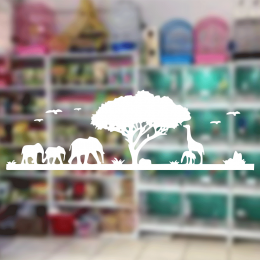 Petshop Ve Veterinerlere Özel Safari Sticker Yapıştırma