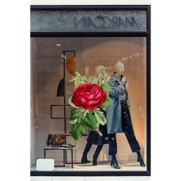  Çiçek ve Uçuşan Kelebelekler Vitrin Tacı Mağaza Vitrin Cam Stickerı