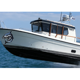 Kişiye ve Tekneye Özel Shark Yazısı İsim Sticker 