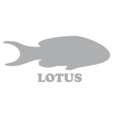 Kişiye Tekneye Yatlara Özel lotus balık silüeti Logo Yazısı Sticker Yapıştırma 