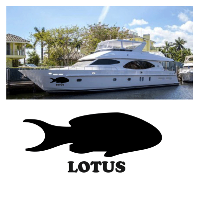 Kişiye Tekneye Yatlara Özel lotus balık silüeti Logo Yazısı Sticker Yapıştırma 