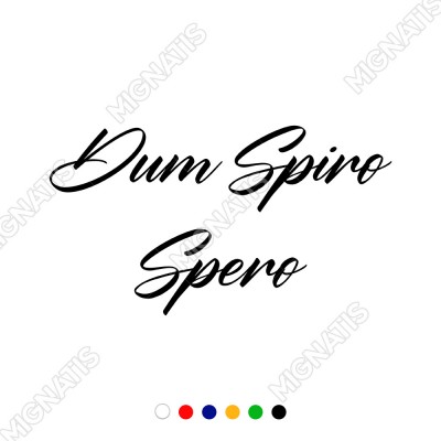 El Yazısı İle Yazılmış Dum Spiro Spero Duvar Yazısı Sticker 60x33cm