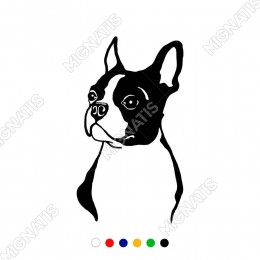 Dikkat Boston Terrier Sticker Yapıştırma Etiket