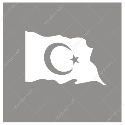 Ay Yıldız Türk Bayrağı Sticker Etiket