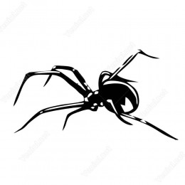 Şişman Örümcek-Spider Sticker